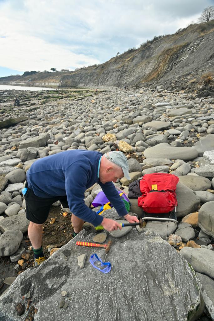 Fossielenjager Dorset
