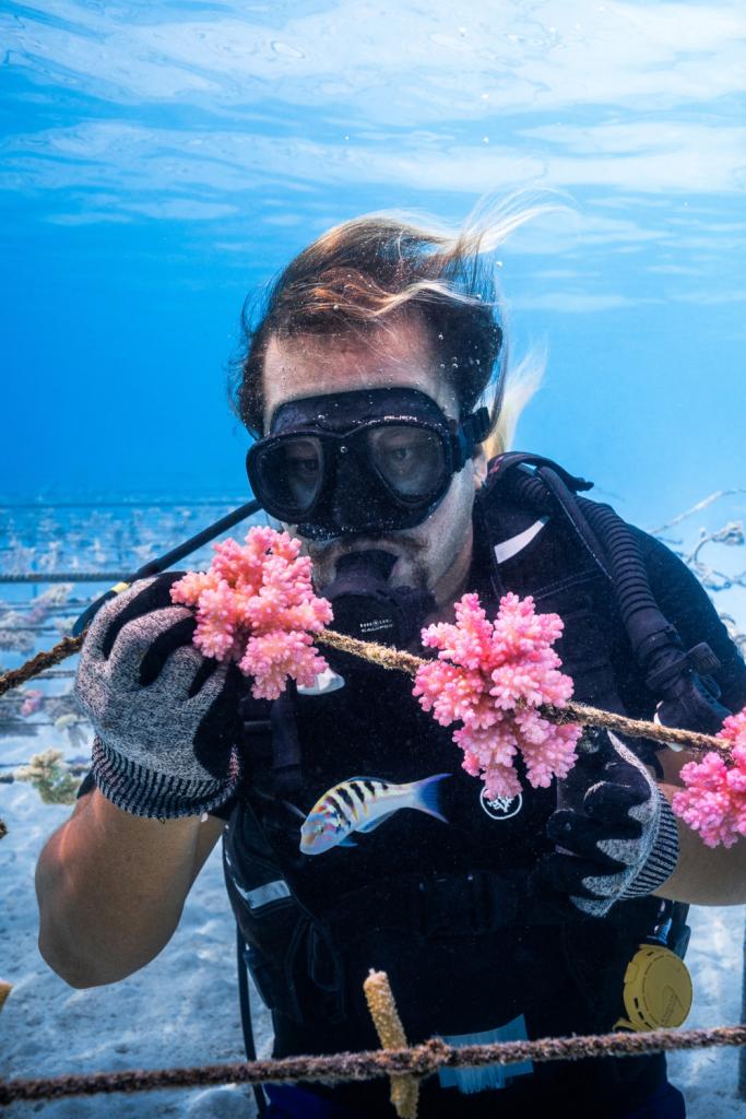 Coral Gardeners