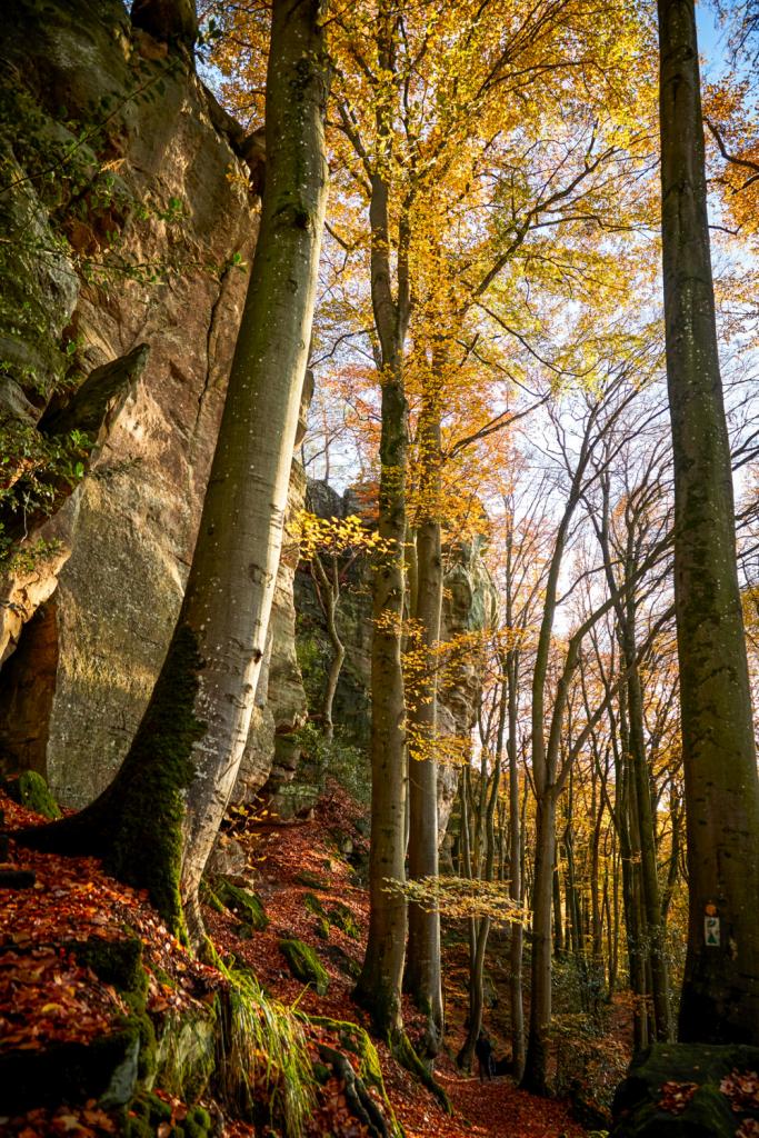 wandelen mullerthal herfst