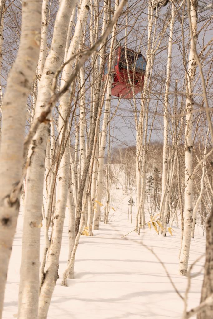 hokkaido magische wintersportbestemming