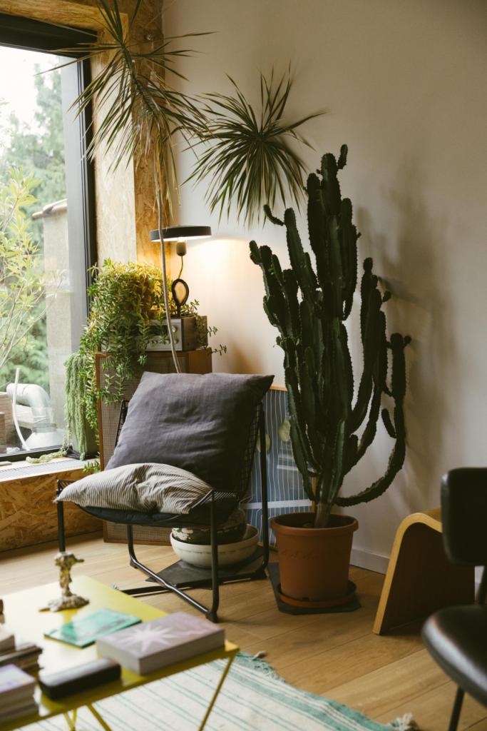 interieur Mika Bassanelli