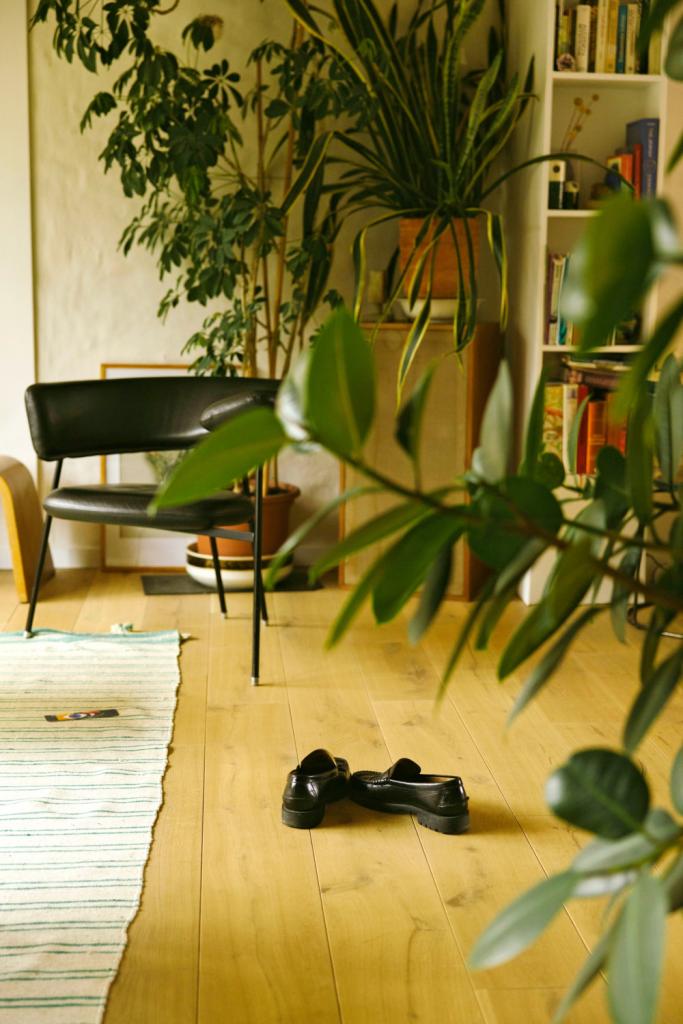 ‘Divi Divi’ van Leolux