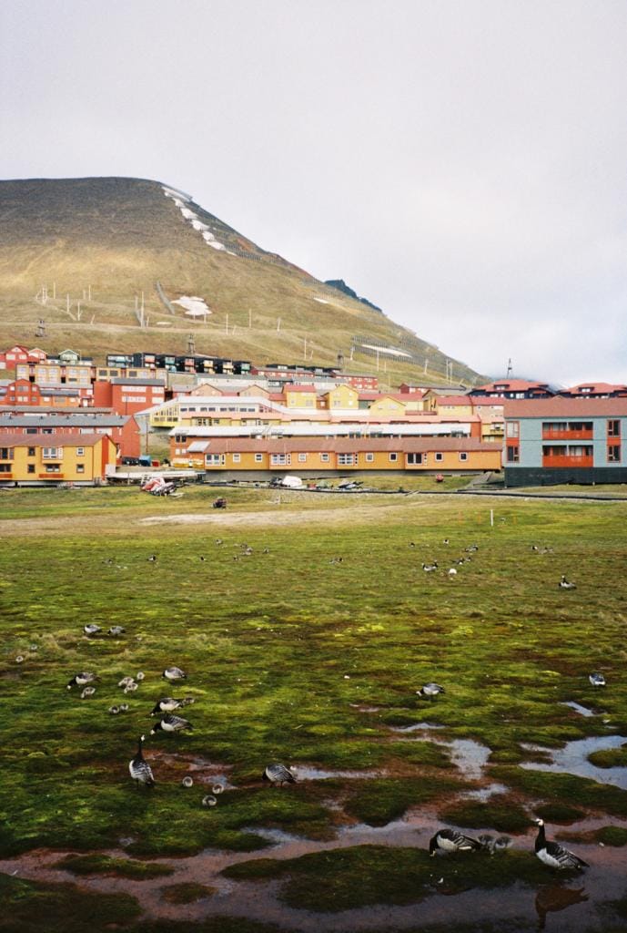 Dorpje in Spitsbergen