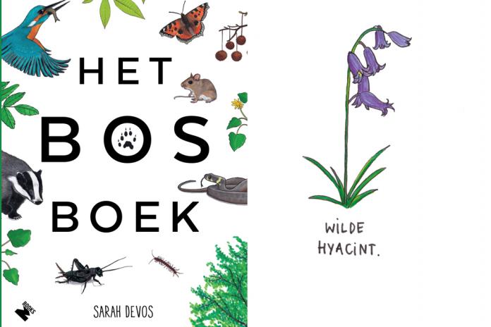 bosboek-sarah-devos