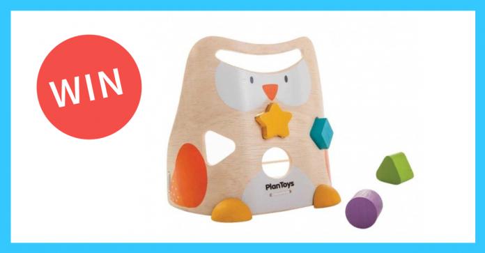 PlanToys Owl