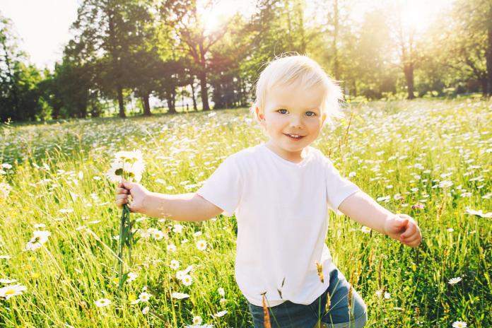 Happy little boy running on meadow of flowers with bouquet of wild daisies.