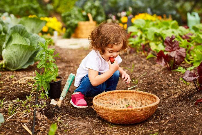 kinderen groenten eten