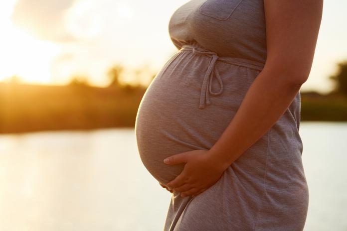 Comment réagit l’utérus pendant la grossesse?