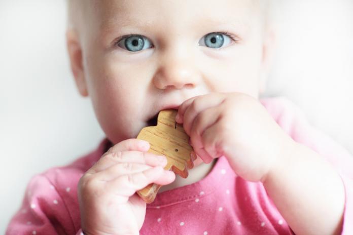 Toddler chewing on toy block