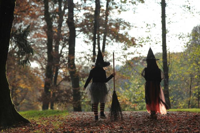 Young witches holding broom are walking in the forest.
