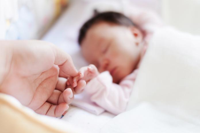Close-Up Of Mother Holding Babys Hand