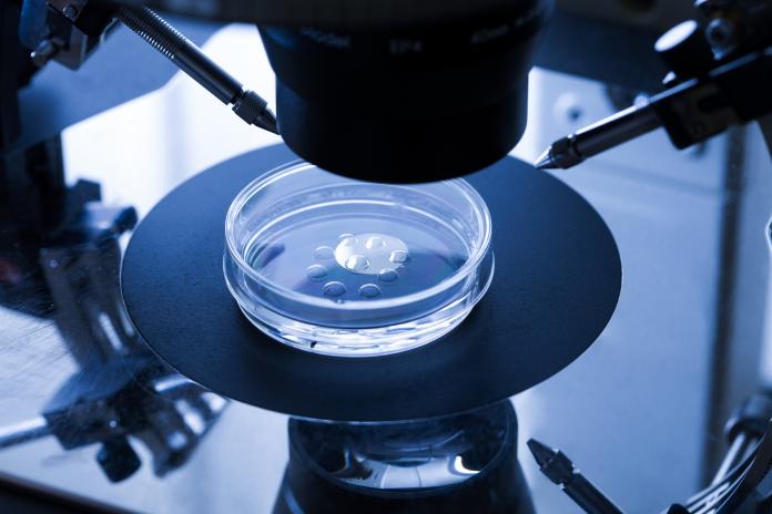 IVF treatment fertiliteitskliniek