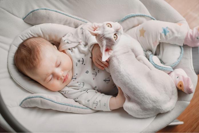 katten en baby's katten en baby's