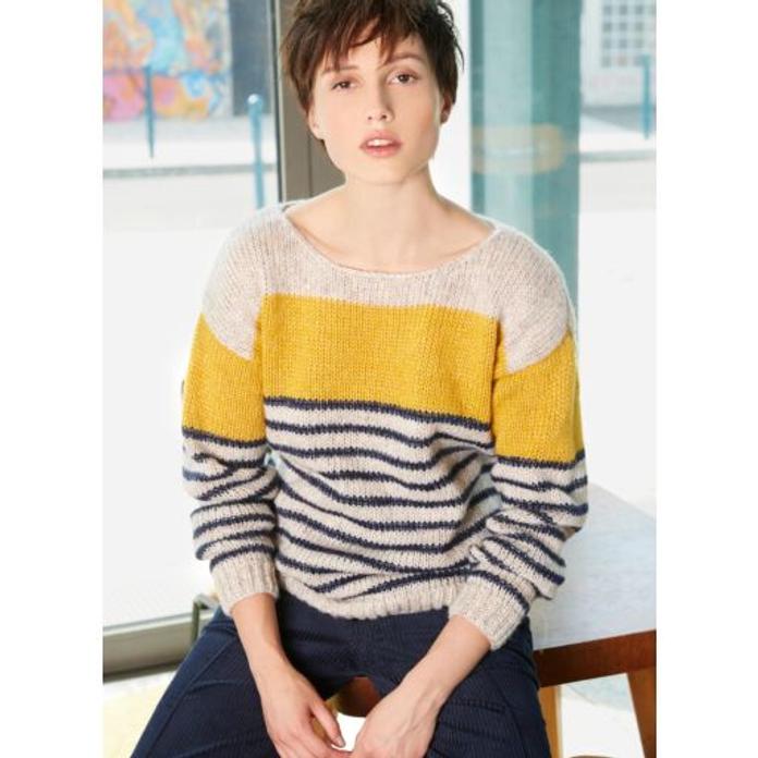 Modele Tricot Bergere De France