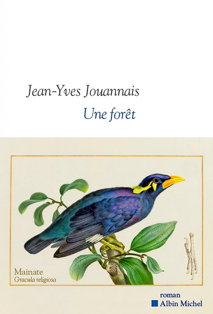 Une forêt de Jean-Yves Jouannais