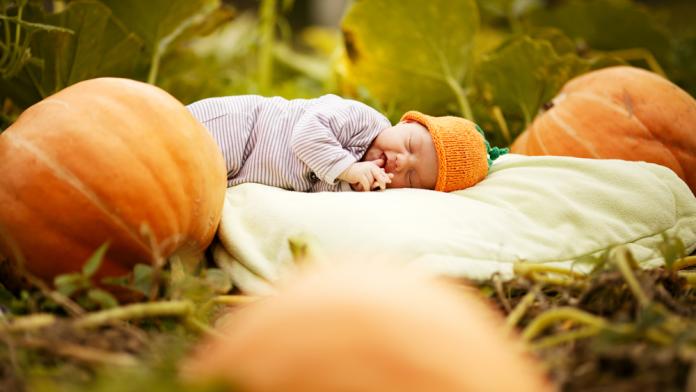 herfstbaby's herfstbaby's