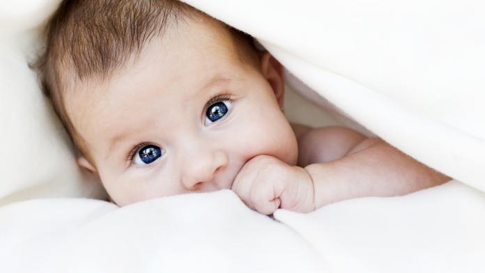 Bébé
