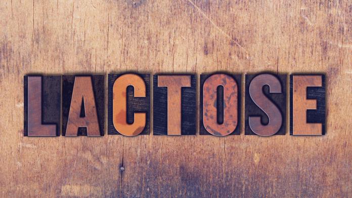 Lactose Theme Letterpress Word on Wood Background
