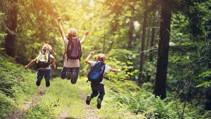 Ecole dans les bois: un projet pilote a vu la jour à Bruxelles