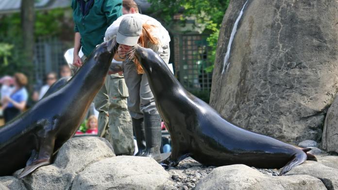 dierenverzorger dierenverzorger