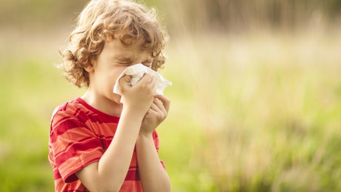 hooikoorts bij kinderen hooikoorts bij kinderen