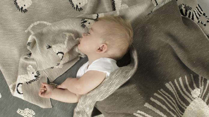 quaxbébé