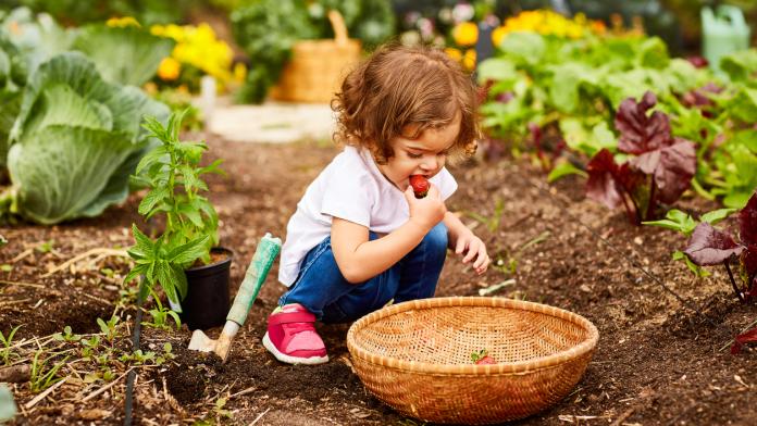 kinderen groenten eten
