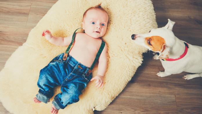 Cheerful little boy at home