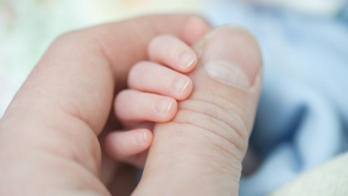 The first nails