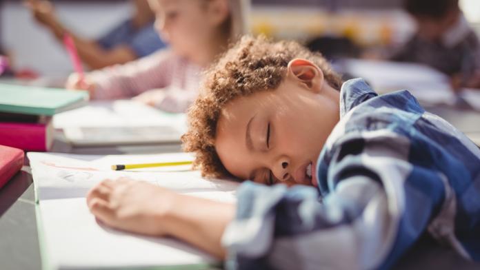 Tired schoolboy sleeping in classroom