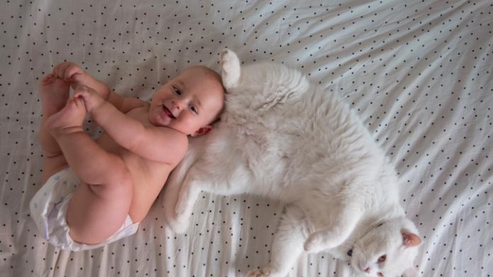 Happy baby boy with cat in bed