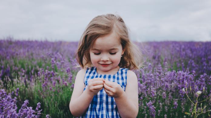 Smiling toddler in a lavender field.
