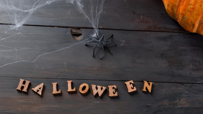 Autumn pumpkins, web and spider in black