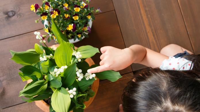 Attention Le Muguet Est Toxique Pour Vos Enfants Femmes D Aujourd Hui Mamans