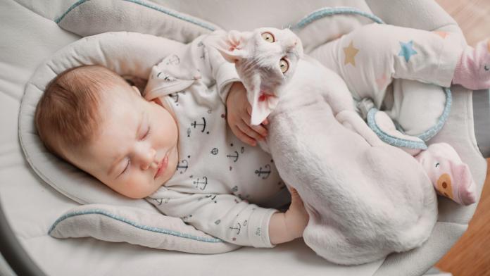 katten en baby's katten en baby's