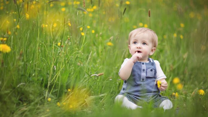 15 plantes toxiques à maintenir hors de portée de vos enfants
