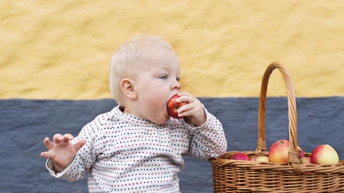 Les Pommes Quand Et Comment Integrer Ce Fruit A L Alimentation De Bebe Femmes D Aujourd Hui Mamans