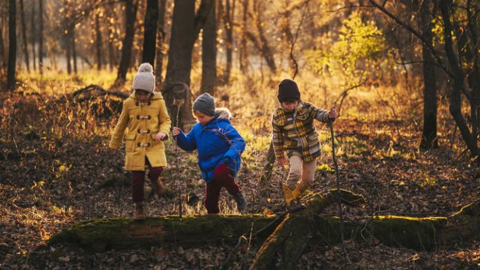 herfstwandeling met kinderen herfstwandeling met kinderen