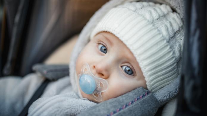 winterbaby winterbaby
