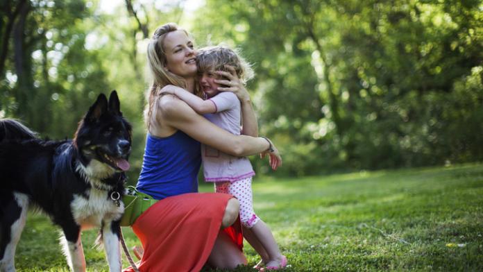 angst voor dieren angst voor dieren