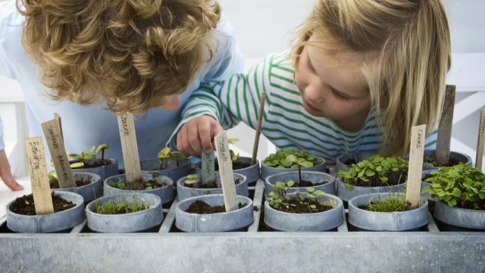 activité écolo enfants