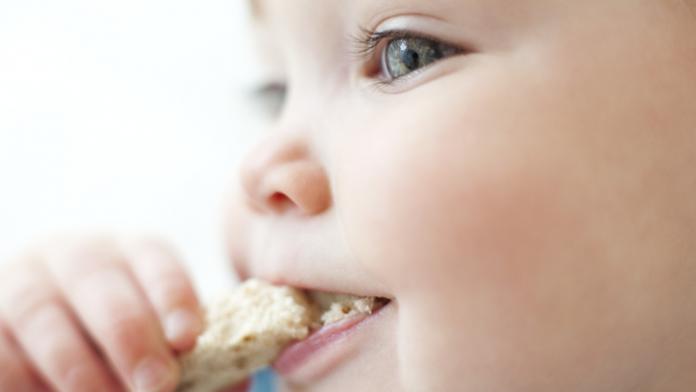 baby brood eten baby brood eten