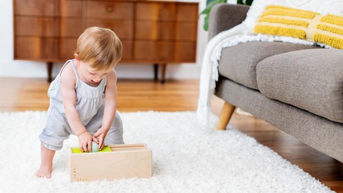object permanence box object permanence box
