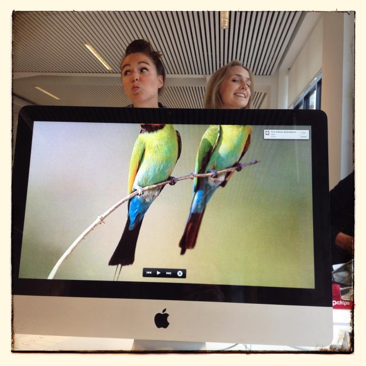 Onze kleurrijke zangvogels: Chief HI Astrid en redactrice Kristin
