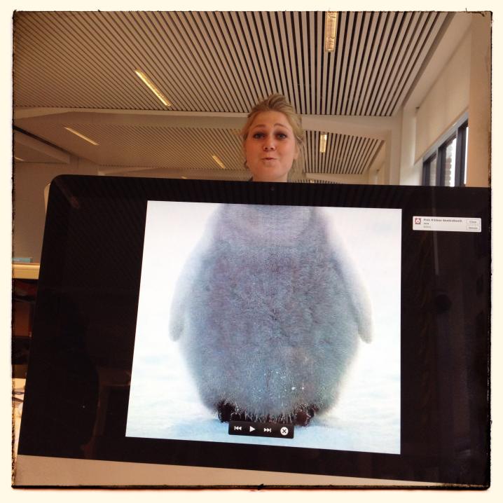 Onze schattige pinguin Ellen, junior digitale projectontwikkelaar