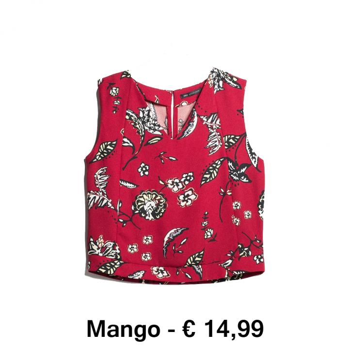 cropped-top-mango-14,99.png NL