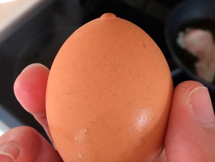 Wat is het?