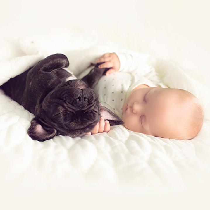 Baby en zijn bulldog