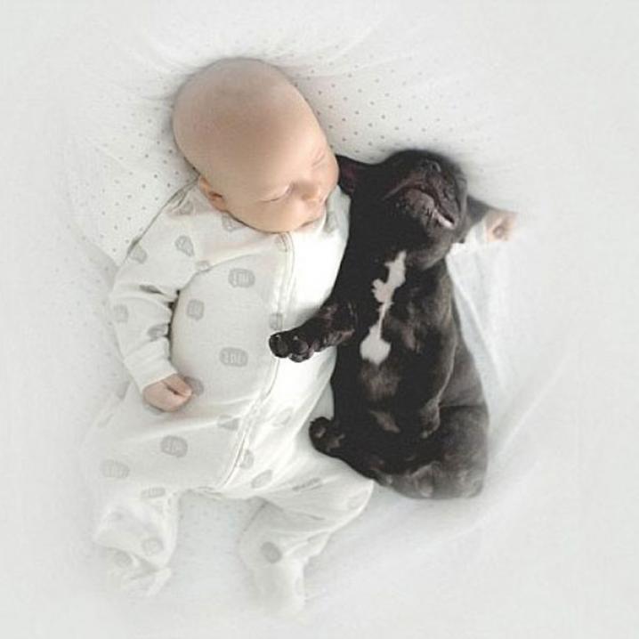 Baby en zijn bulldog