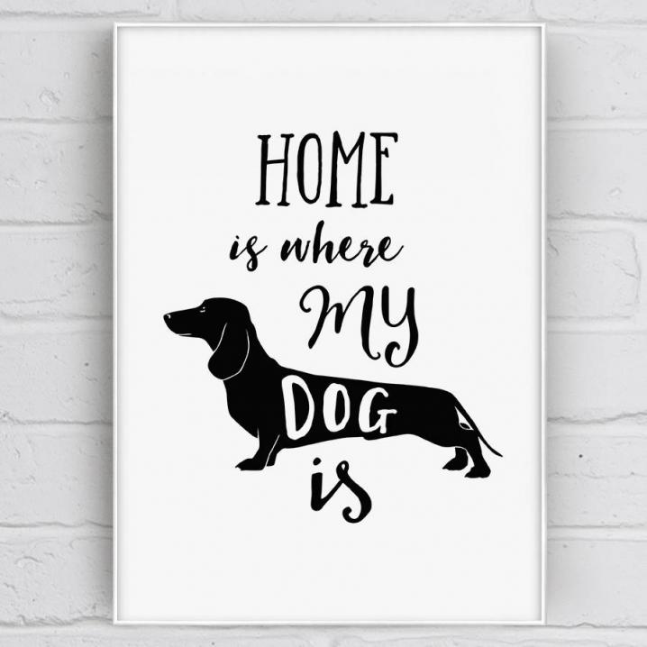 Cadre "Home is where my dog is"